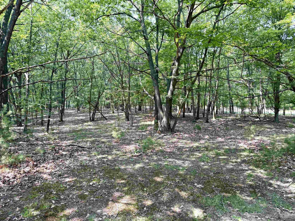 W Big Sky Trail Glen Arbor Township, MI 49664