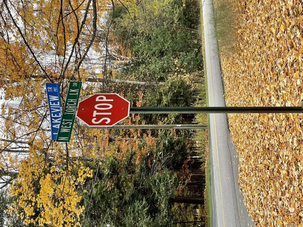 Lakeview Trail Torch Lake Township, MI 49648
