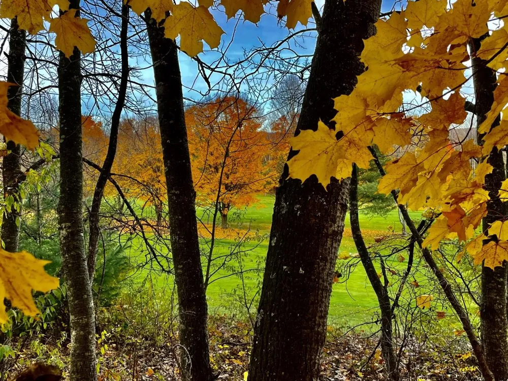 Lakeview Trail Torch Lake Township, MI 49648