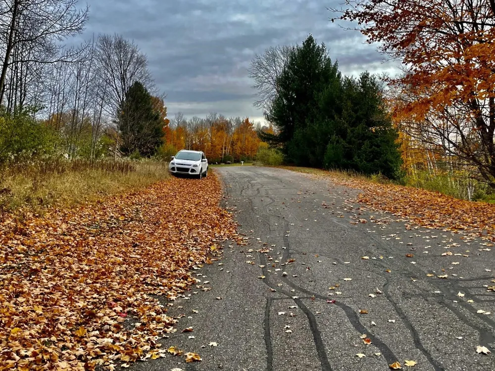 Lakeview Trail Torch Lake Township, MI 49648