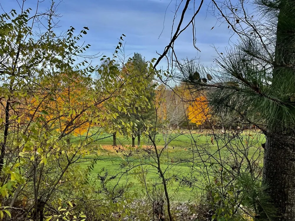 Lakeview Trail Torch Lake Township, MI 49648
