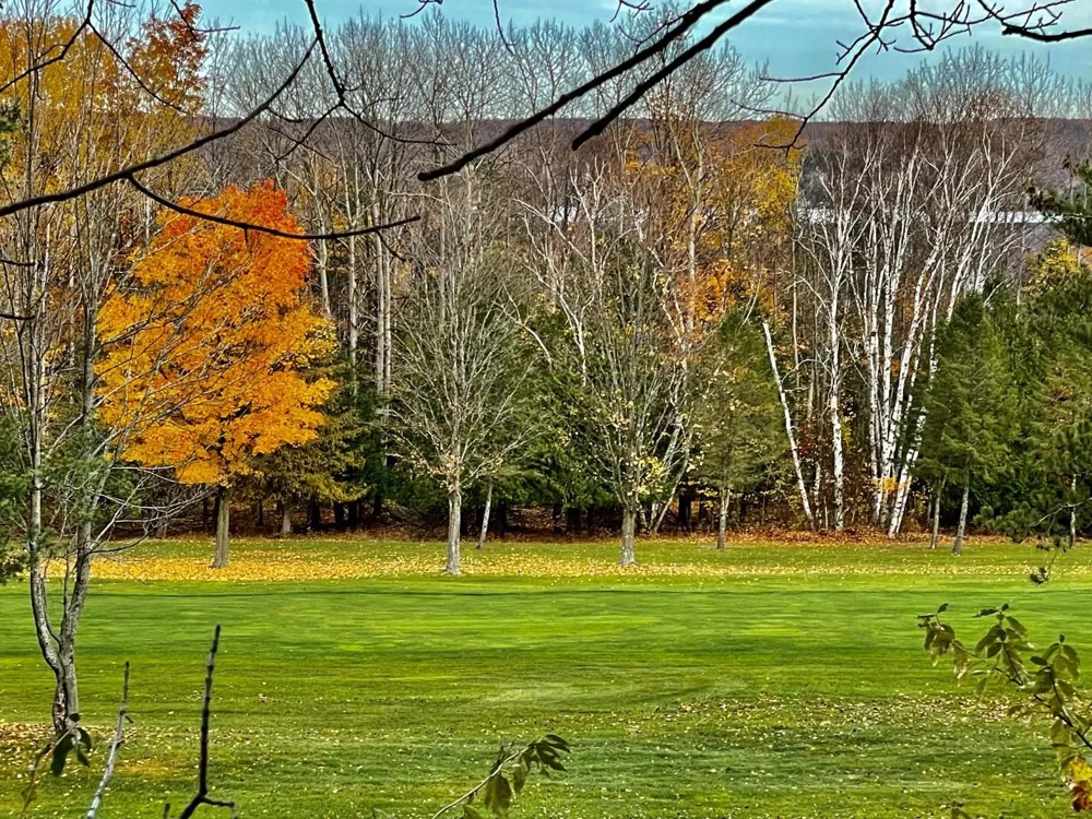 Lakeview Trail Torch Lake Township, MI 49648