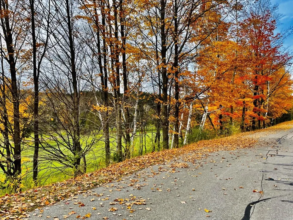 Lakeview Trail Torch Lake Township, MI 49648