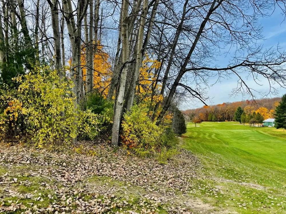 Lakeview Trail Torch Lake Township, MI 49648