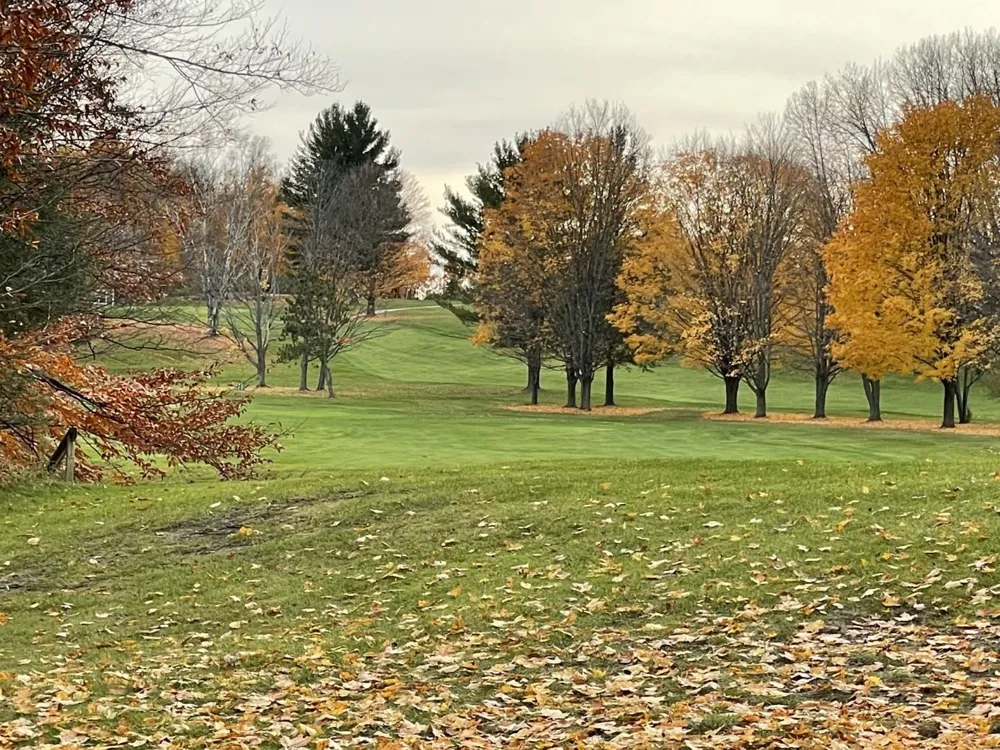 Lakeview Trail Torch Lake Township, MI 49648
