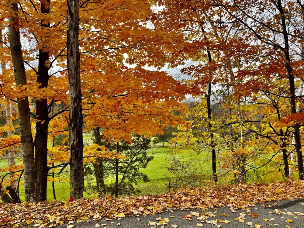 Lakeview Trail Torch Lake Township, MI 49648