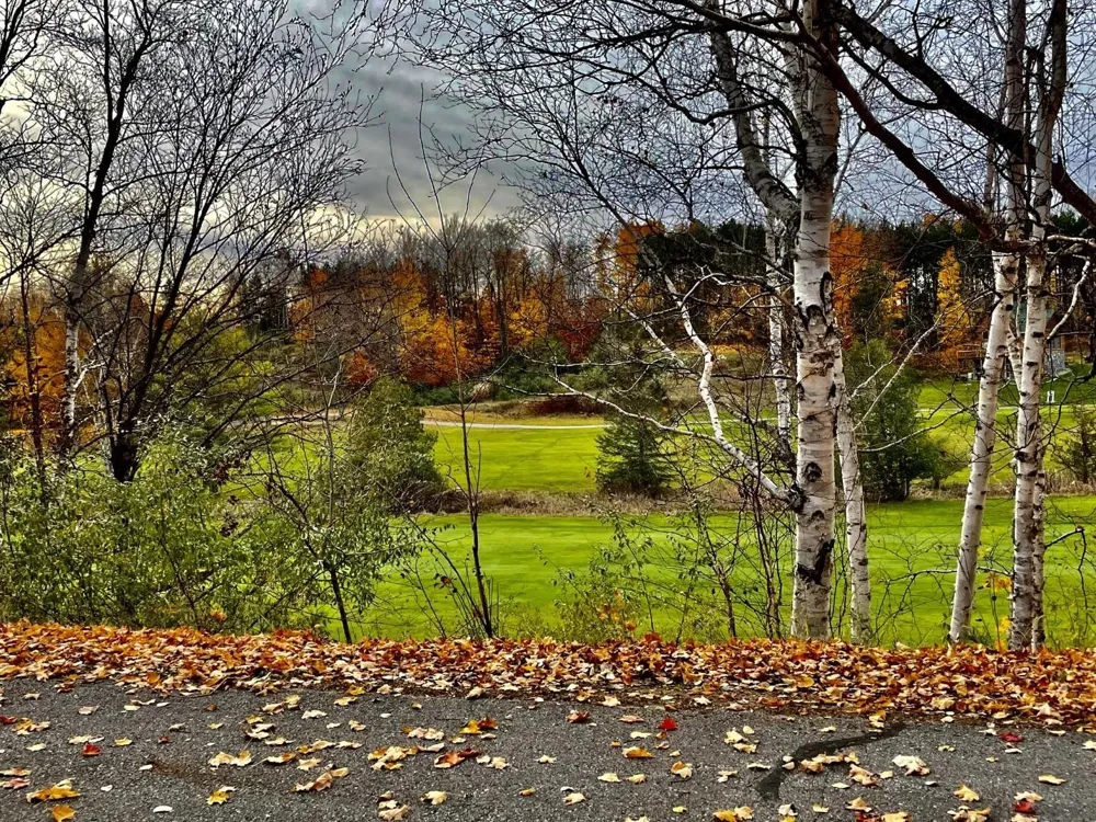 Lakeview Trail Torch Lake Township, MI 49648