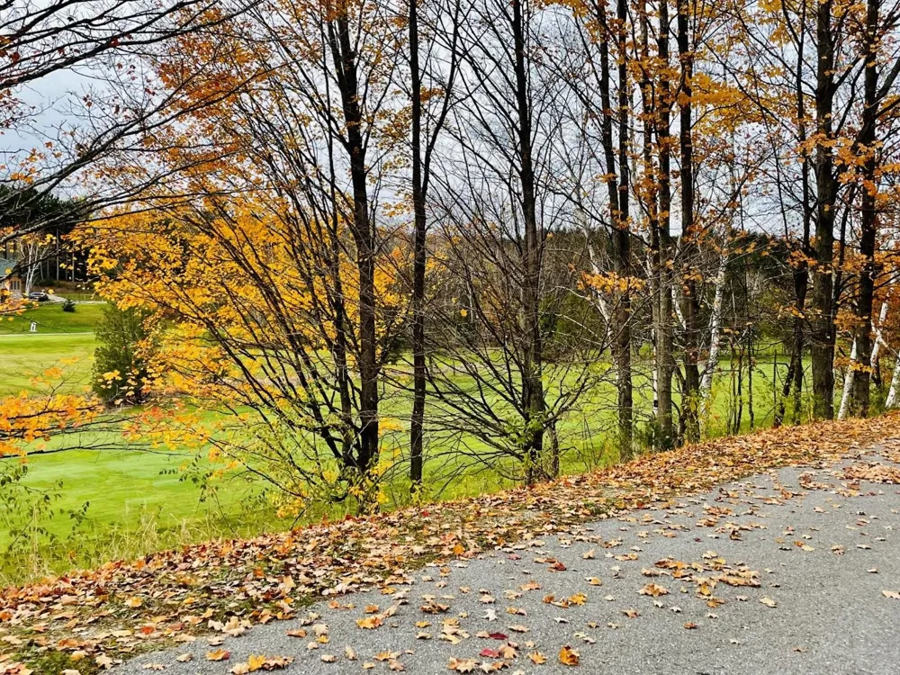 Lakeview Trail Torch Lake Township, MI 49648