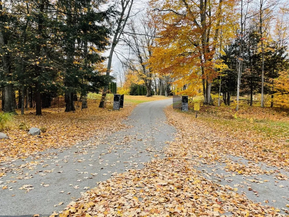 Lakeview Trail Torch Lake Township, MI 49648