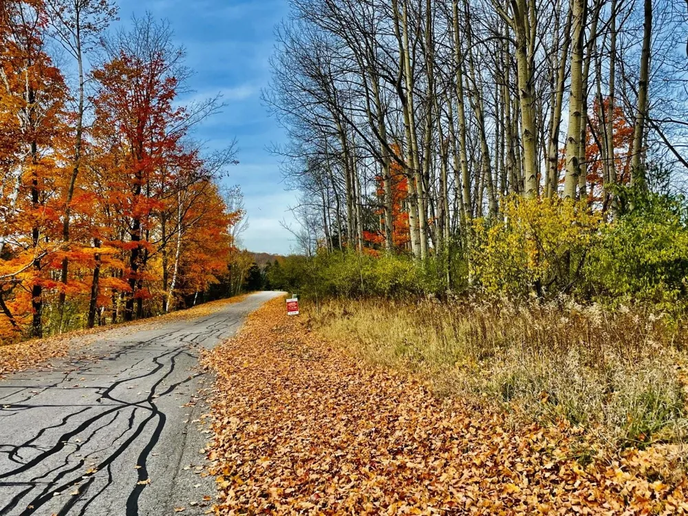 Lakeview Trail Torch Lake Township, MI 49648