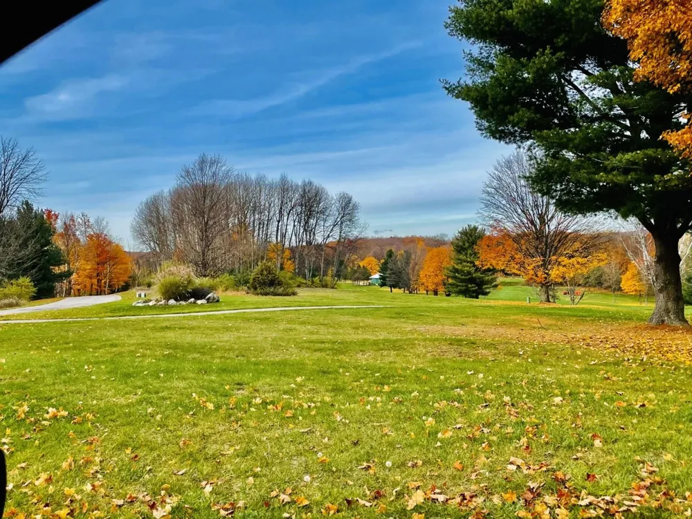 Lakeview Trail Torch Lake Township, MI 49648