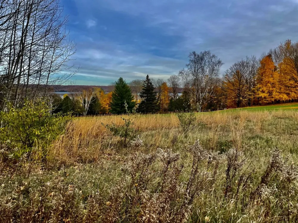 Lakeview Trail Torch Lake Township, MI 49648