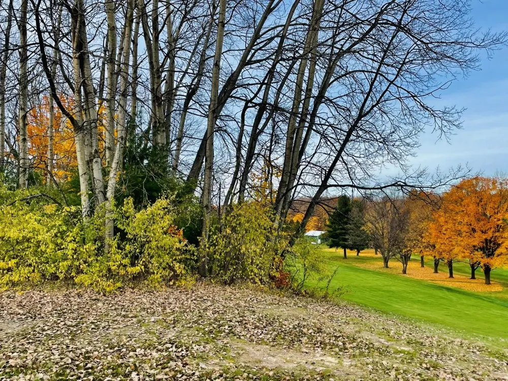 Lakeview Trail Torch Lake Township, MI 49648