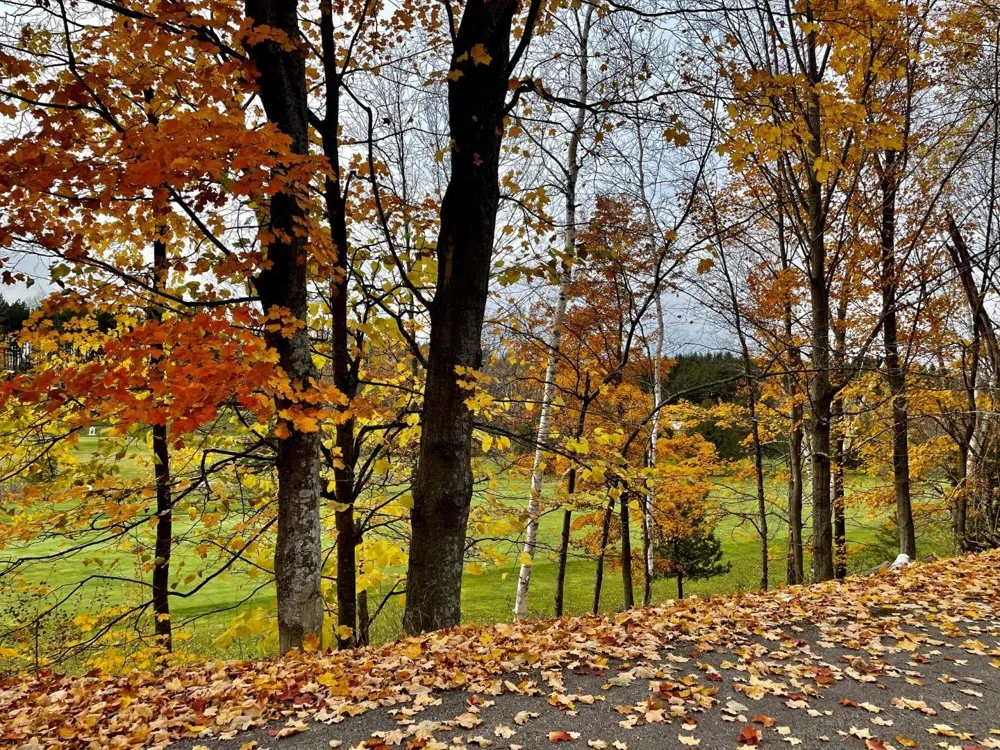 Lakeview Trail Torch Lake Township, MI 49648