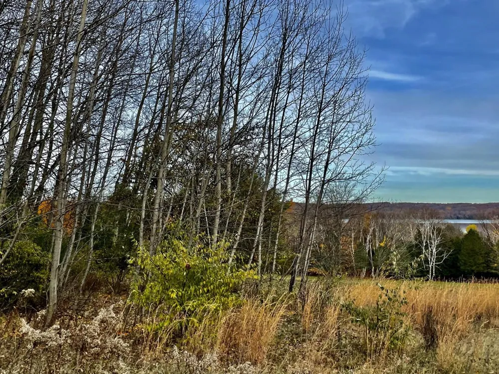 Lakeview Trail Torch Lake Township, MI 49648