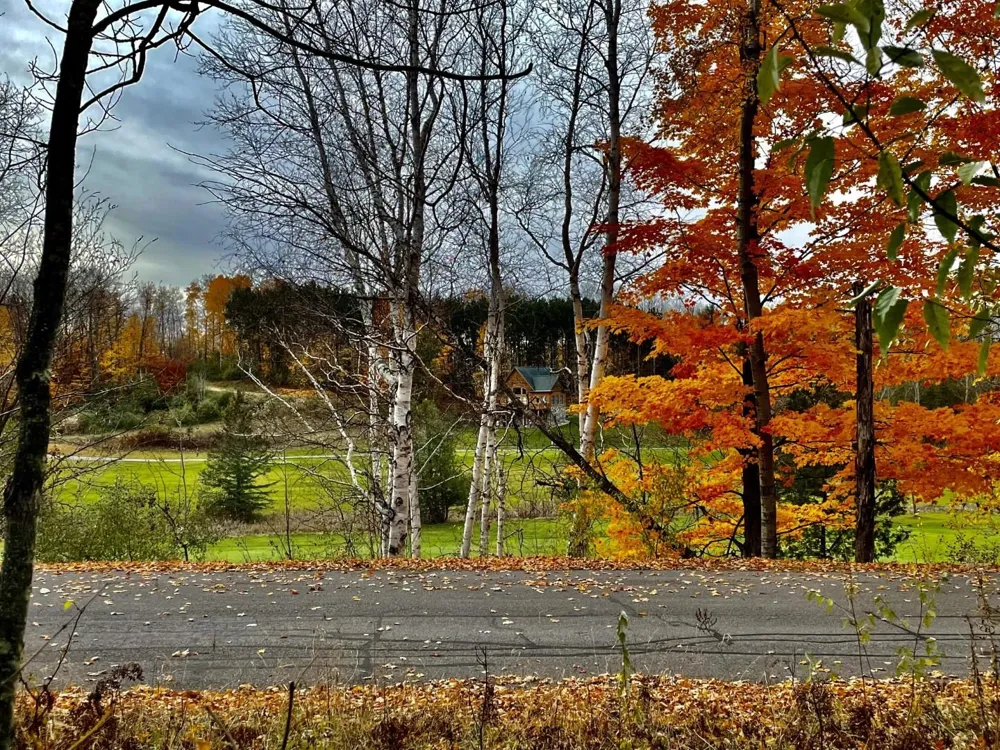 Lakeview Trail Torch Lake Township, MI 49648