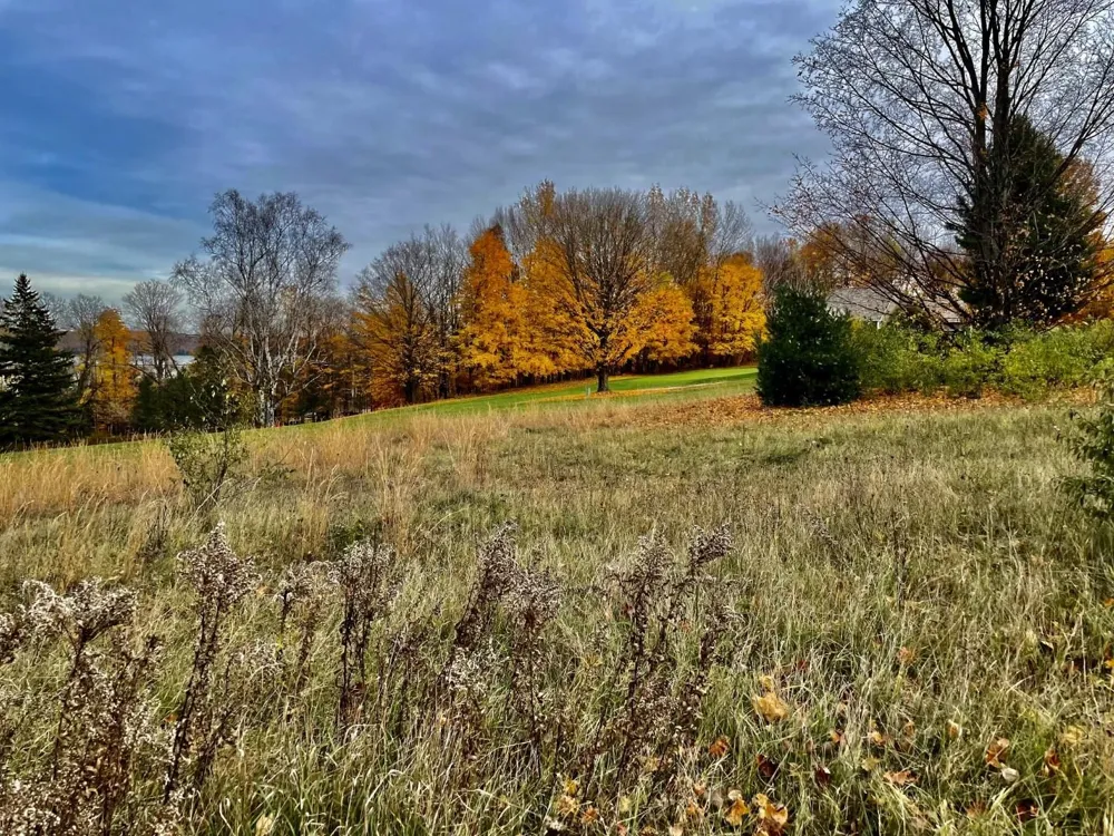 Lakeview Trail Torch Lake Township, MI 49648