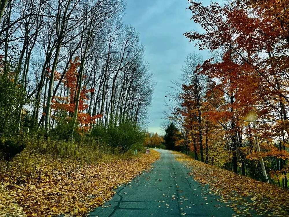 Lakeview Trail Torch Lake Township, MI 49648