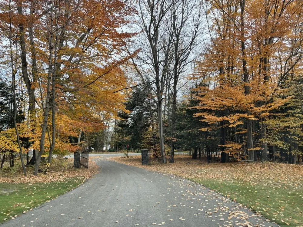 Lakeview Trail Torch Lake Township, MI 49648