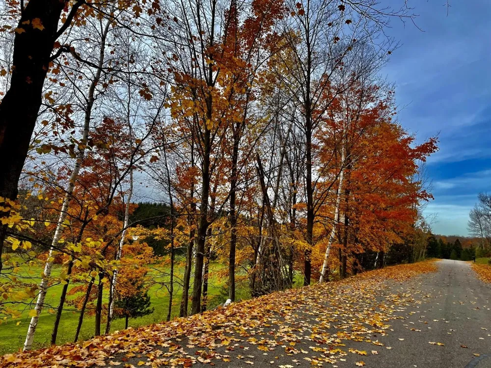 Lakeview Trail Torch Lake Township, MI 49648