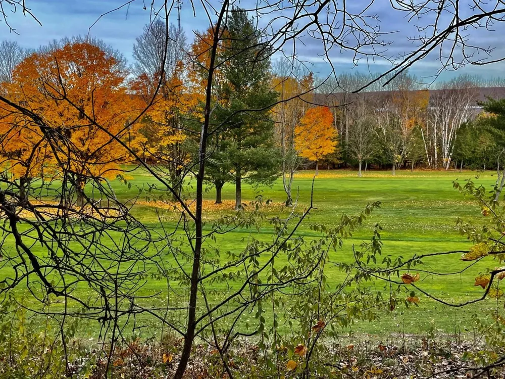 Lakeview Trail Torch Lake Township, MI 49648