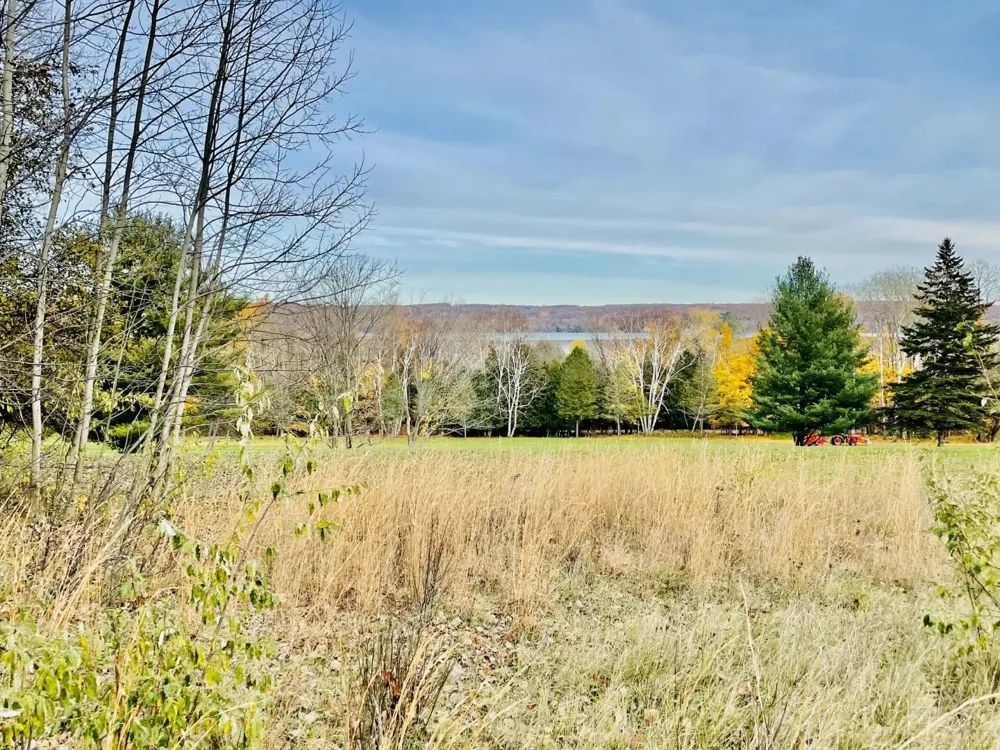 Lakeview Trail Torch Lake Township, MI 49648