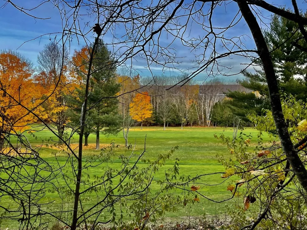 Lakeview Trail Torch Lake Township, MI 49648