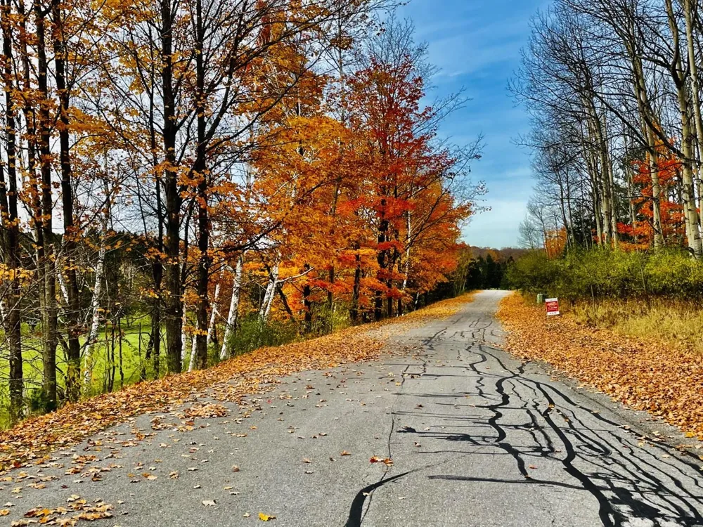 Lakeview Trail Torch Lake Township, MI 49648