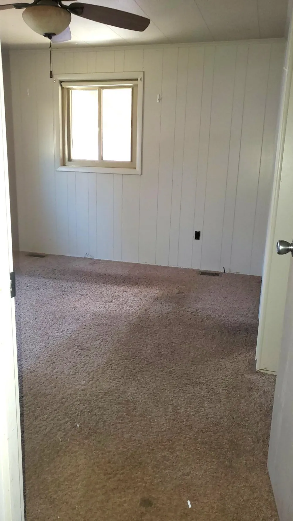 14408 Hicks Lake Drive Hartwick Township, MI 49631