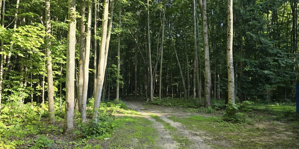 212 3rd Avenue Rapid River Township, MI 49646