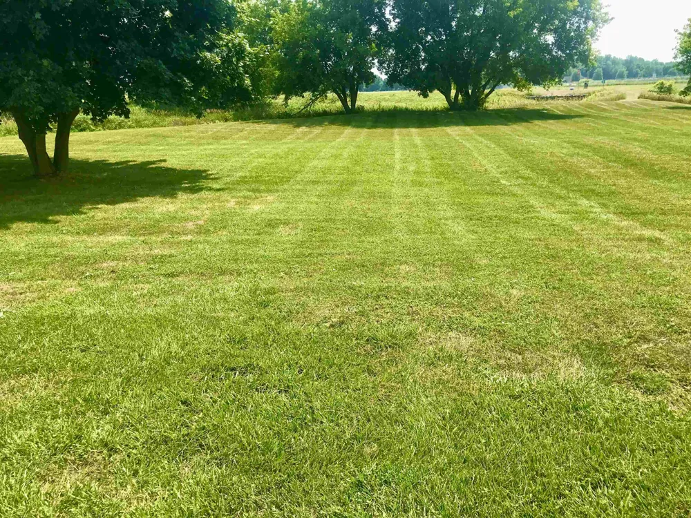 4996 Alger Road Arcada Township, MI 48801