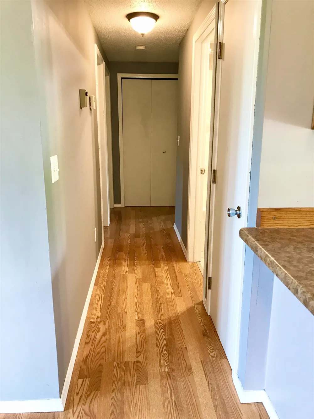 4996 Alger Road Arcada Township, MI 48801