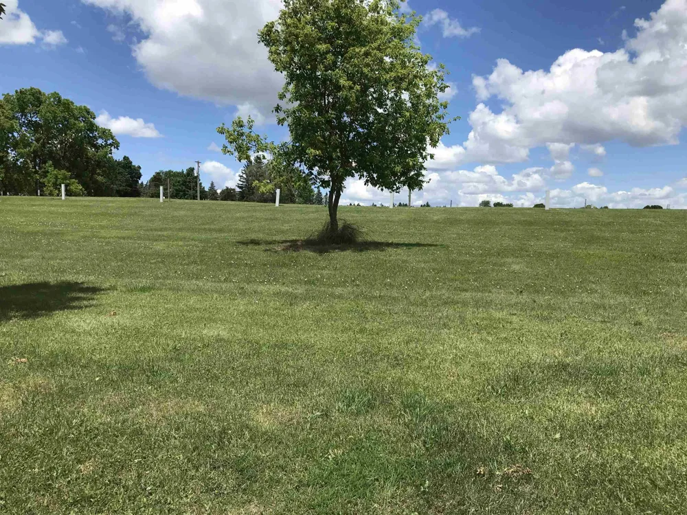 4996 Alger Road Arcada Township, MI 48801