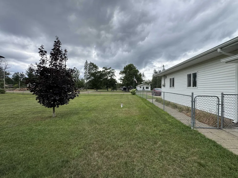 5377 Wildwood Drive Mills Township, MI 48756