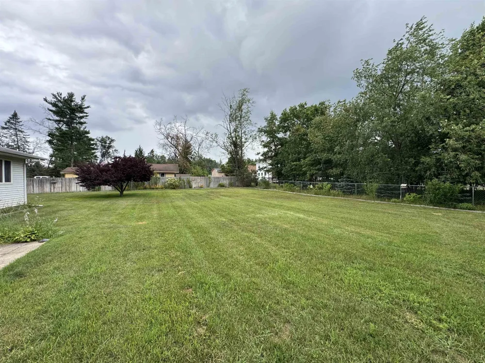 5377 Wildwood Drive Mills Township, MI 48756