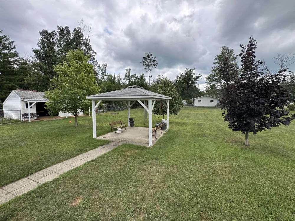5377 Wildwood Drive Mills Township, MI 48756