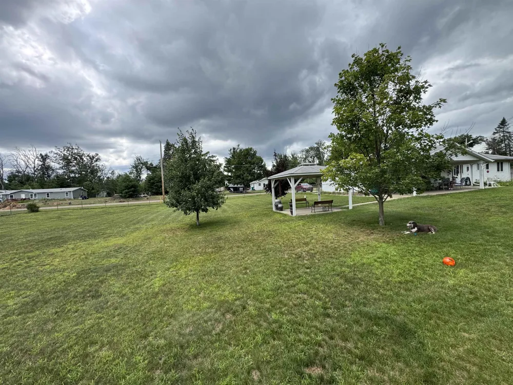 5377 Wildwood Drive Mills Township, MI 48756