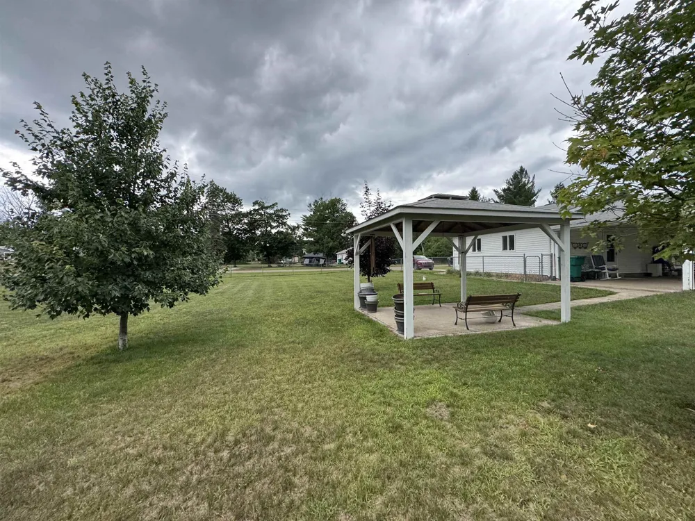 5377 Wildwood Drive Mills Township, MI 48756