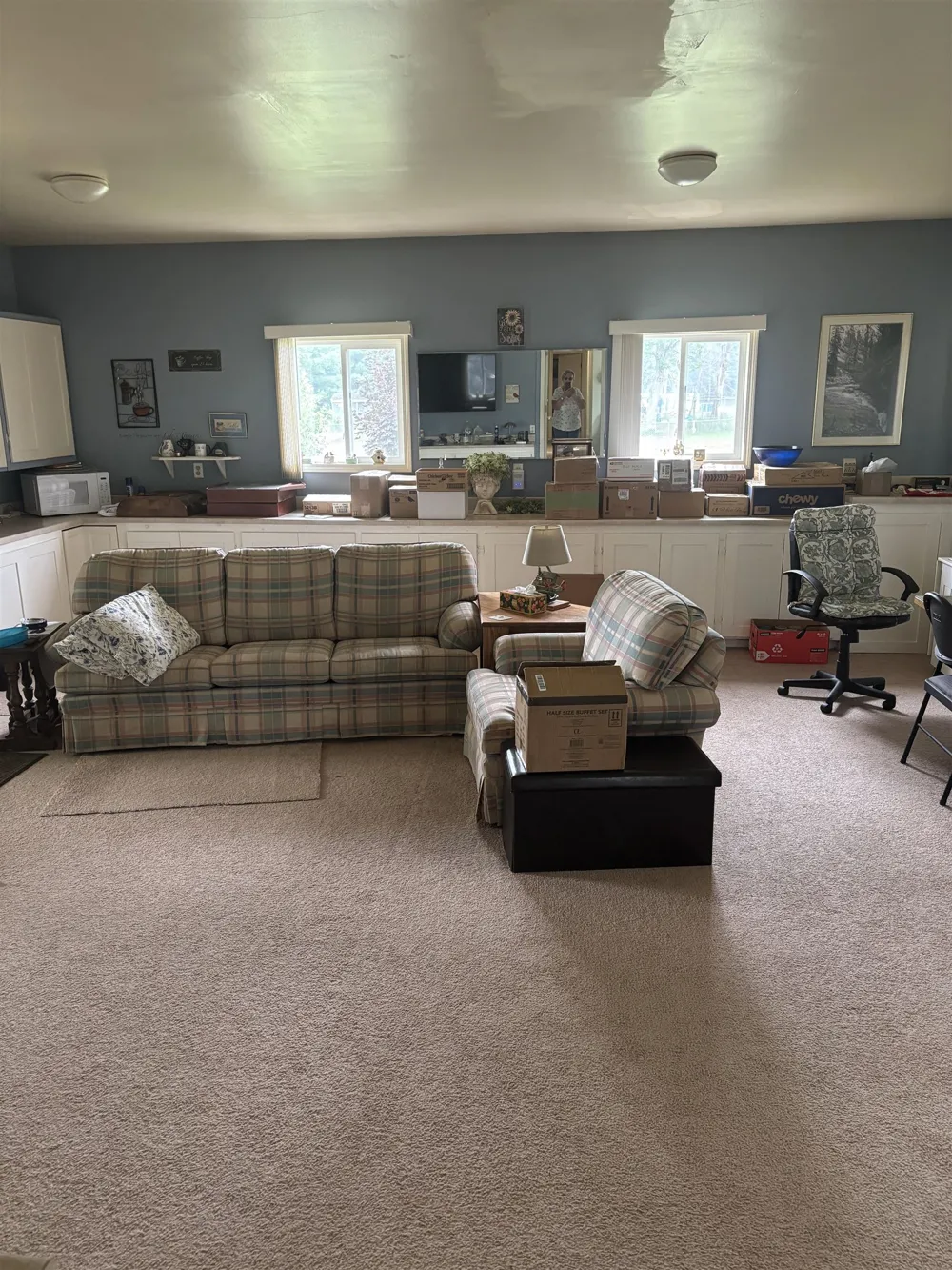 5377 Wildwood Drive Mills Township, MI 48756