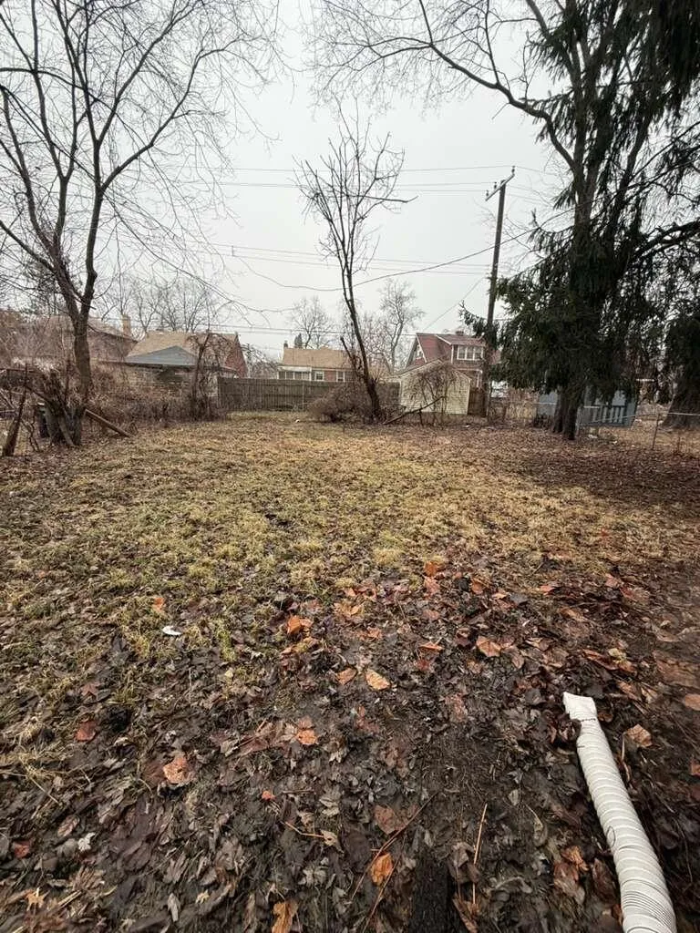 16584 Blackstone Street Detroit City, MI 48219