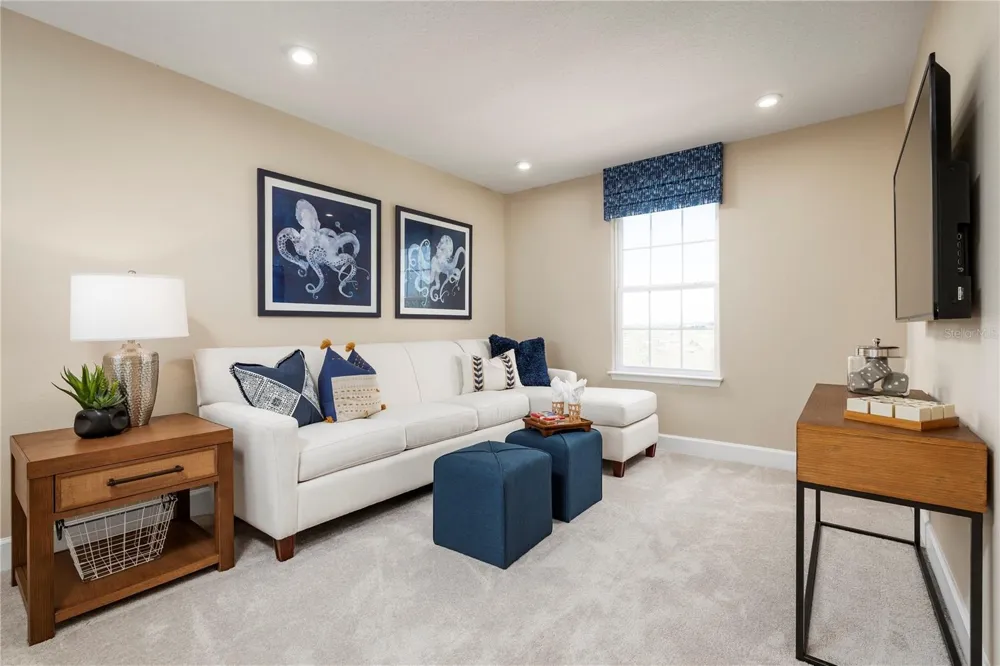 2441 WHITE LADYFISH ROAD Wimauma, FL 33598