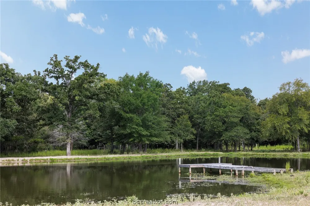 3835 County Road 151 Bedias, TX 77831