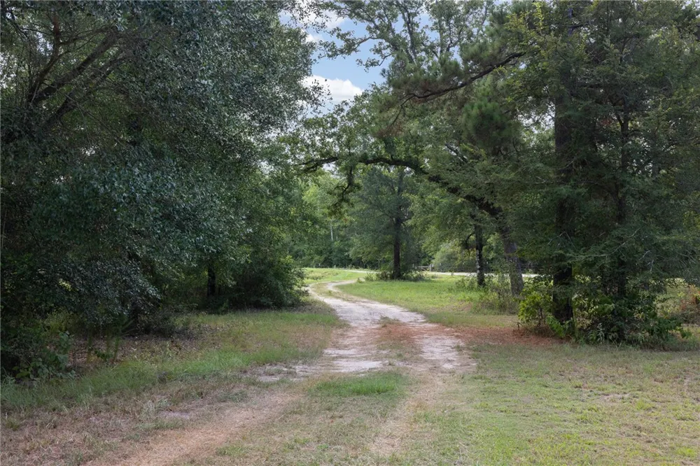 3835 County Road 151 Bedias, TX 77831