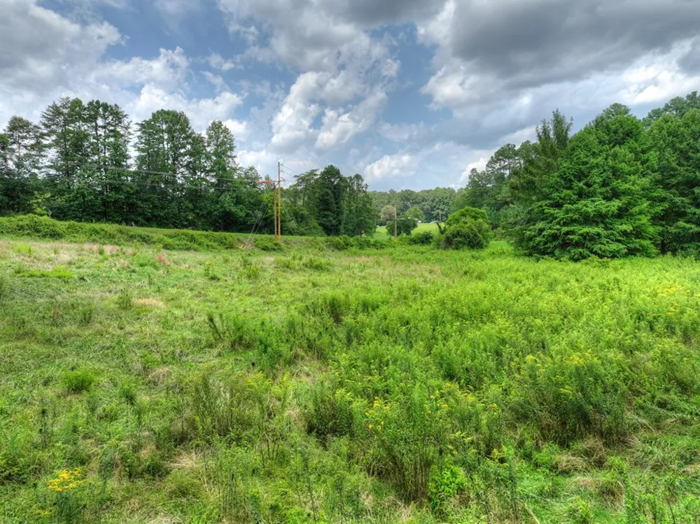1779 Madola Road Epworth, GA 30541