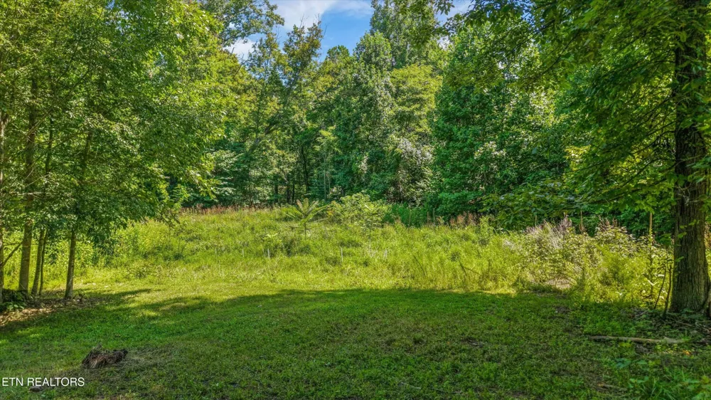 400 Cabbage Cemetery Rd Washburn, TN 37888
