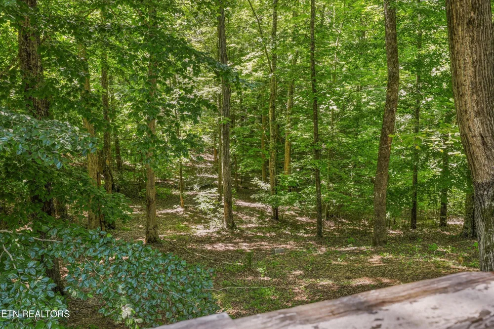 400 Cabbage Cemetery Rd Washburn, TN 37888