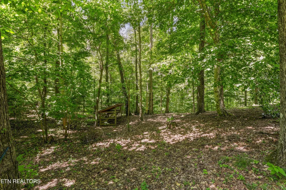 400 Cabbage Cemetery Rd Washburn, TN 37888