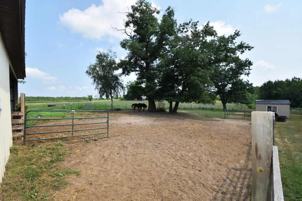 27154 Deerstand Trail Webster, WI 54893
