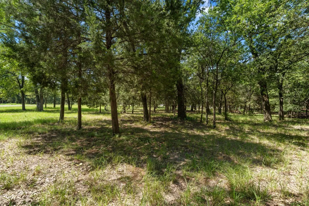 Sombrilla Kerens, TX 75144