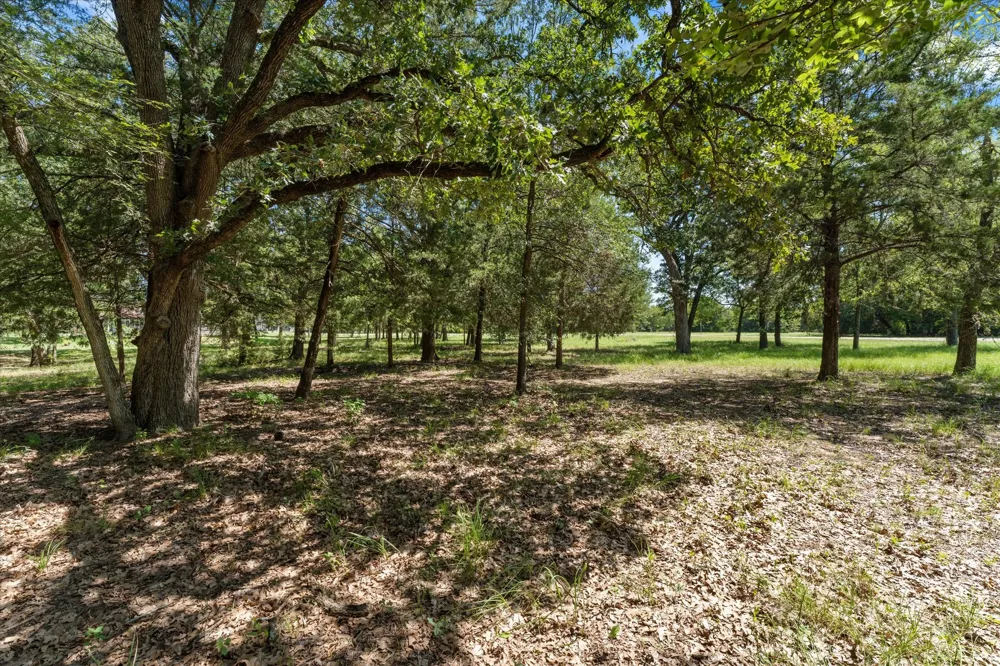 Sombrilla Kerens, TX 75144